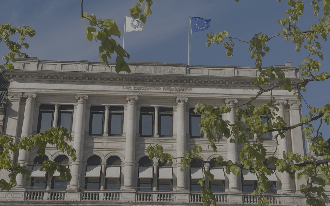 4sfera leads key sessions at EEA’s AQ Technical Meetings